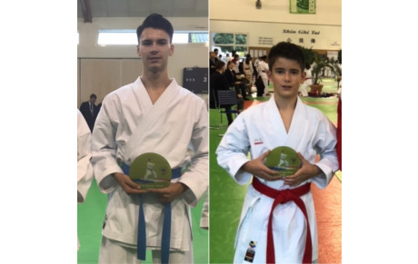 45 St Jean le Blanc : Coupe de ligue Kata Michaël Milon.