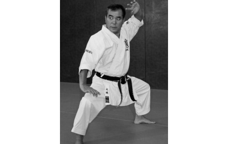 36 Châteauroux : Stage Karaté Zeneï OSHIRO 8ème Dan.